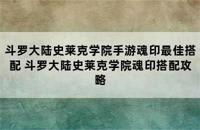 斗罗大陆史莱克学院手游魂印最佳搭配 斗罗大陆史莱克学院魂印搭配攻略